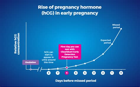 My advice. . When to start hcg after cycle reddit